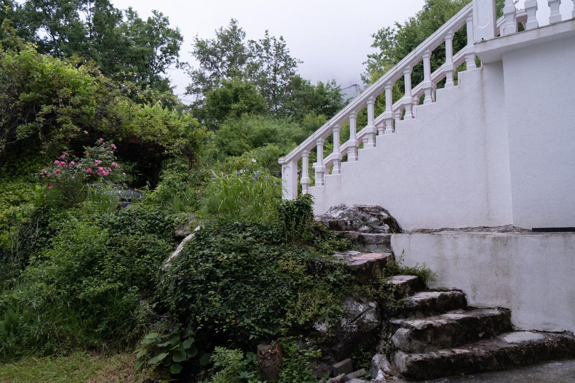 Concordia Villa